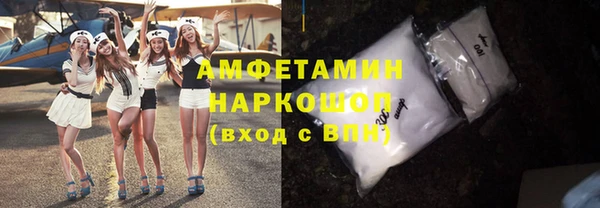 шишки Гусев
