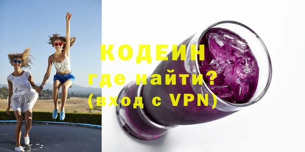 шишки Гусев