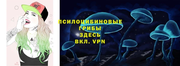 мяу мяу кристалл Гусь-Хрустальный
