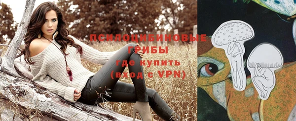бутират Гусиноозёрск