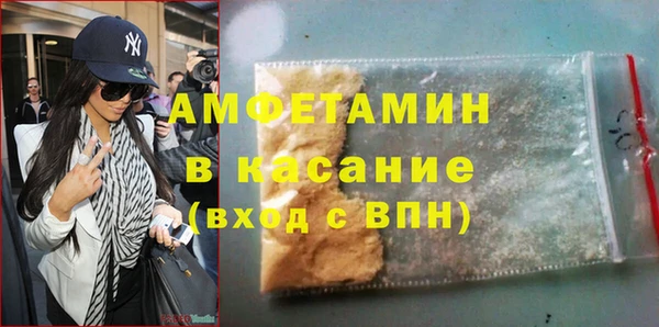 шишки Гусев
