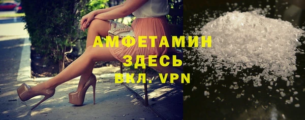 шишки Гусев