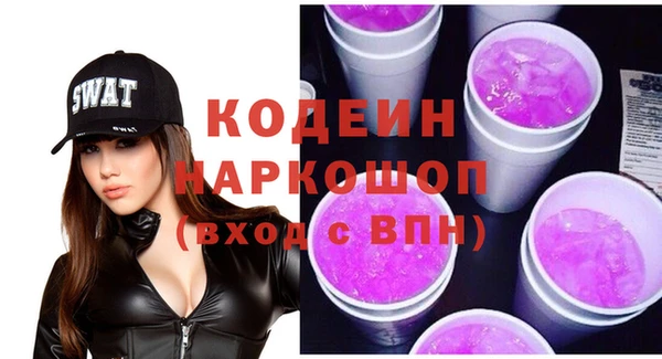 шишки Гусев
