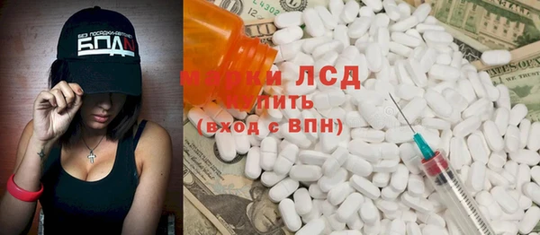 шишки Гусев